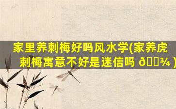 家里养刺梅好吗风水学(家养虎刺梅寓意不好是迷信吗 🌾 )